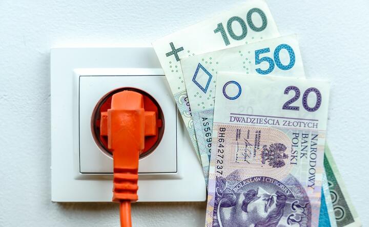 W Polsce dostawca energii może dłużnikowi zamontować licznik przedpłatowy / autor: Fratria / AS
