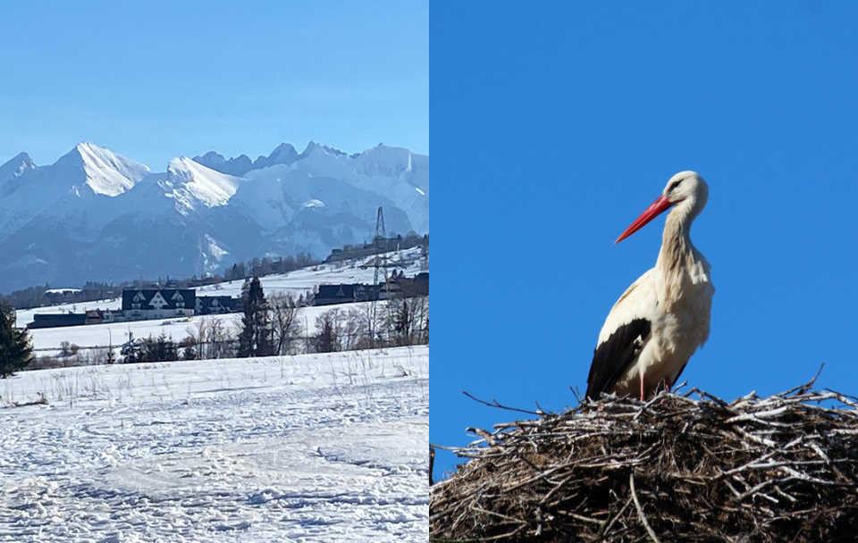 Zdjęcie ilustracyjne / autor: Fratria