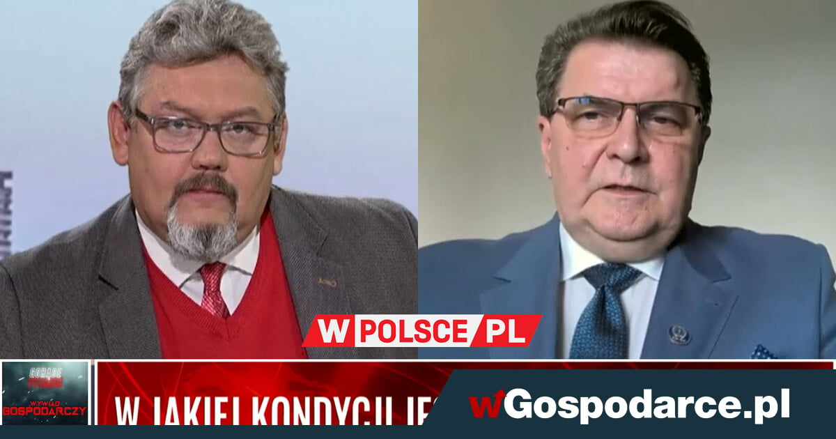 W jakiej kondycji jest polska gospodarka? (Wideo)