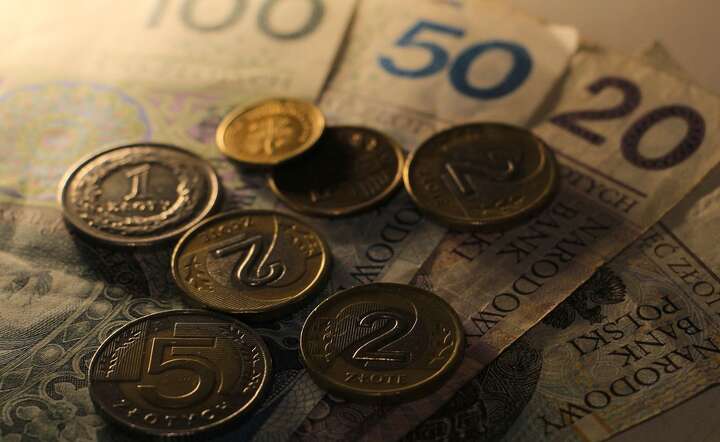 Złoty w najbliższym czasie pozostanie w trendach bocznych wobec euro i dolara / autor: Pixabay