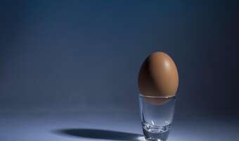Zobacz, co kryje się w jajku