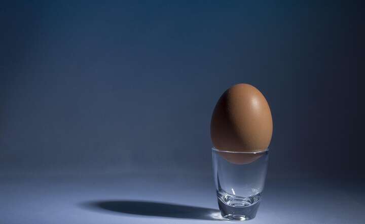 Zobacz, co kryje się w jajku