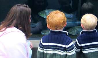 USA: Bliźniak starszy od brata lub siostry o rok