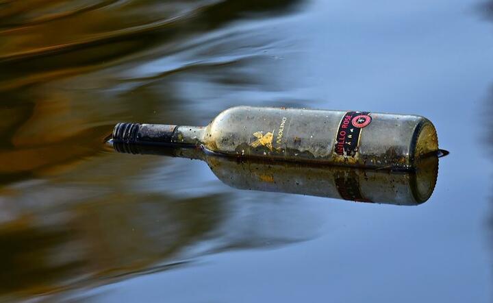 Butelka wyrzucona w parku  / autor: Pixabay