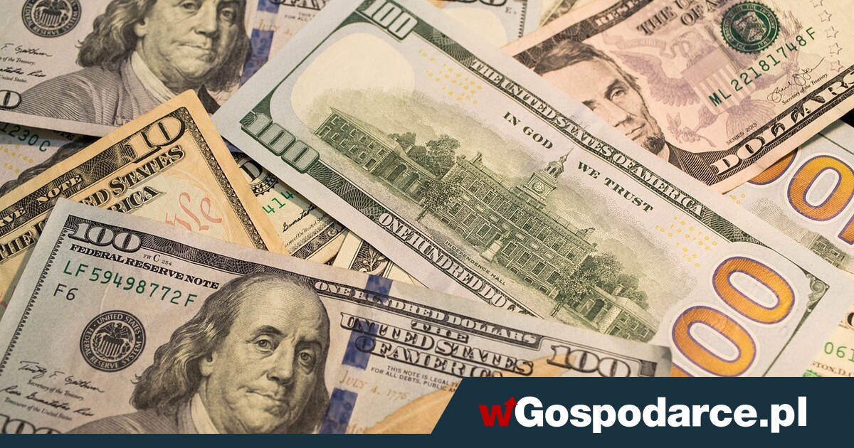 Giełdowy risk-off nie podbił mocniej dolara