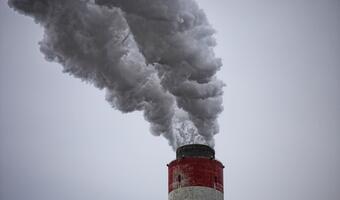 "Nowe limity jakości powietrza!". Naukowcy alarmują
