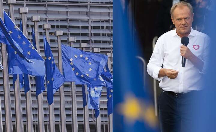 Donald Tusk będzie jednym z głównych negocjatorów EPL w sprawie podziału stanowisk w nowym europarlamencie / autor: Pixabay / Fratria