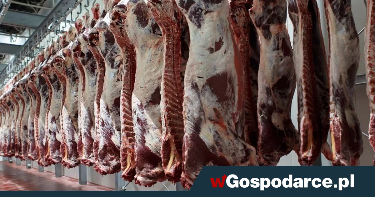 Polska wołowina trafi na Malediwy
