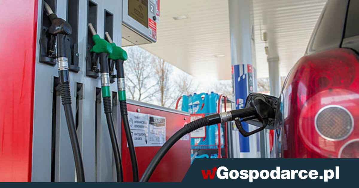 Orlen podnosi ceny paliw. Tak zarabia