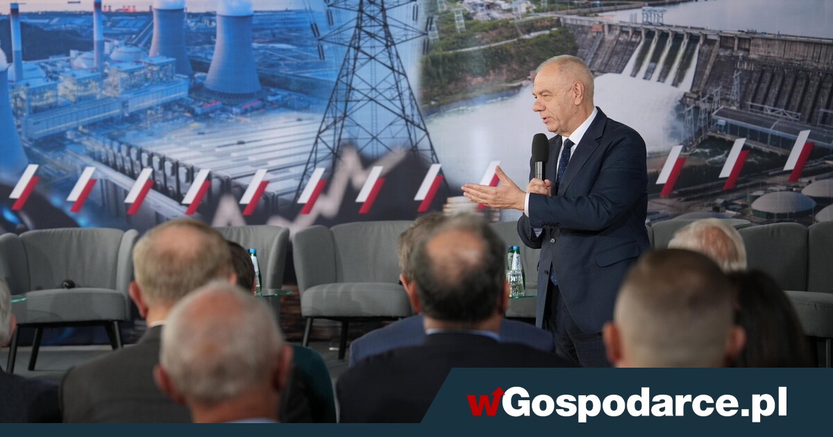 Sasin: we will leave the ETS! It is simply a stone around the neck of the economy