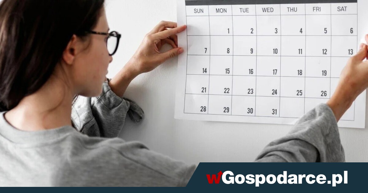 Pół miliona kur pod nóż, a weterynarze chcą pracować krócej