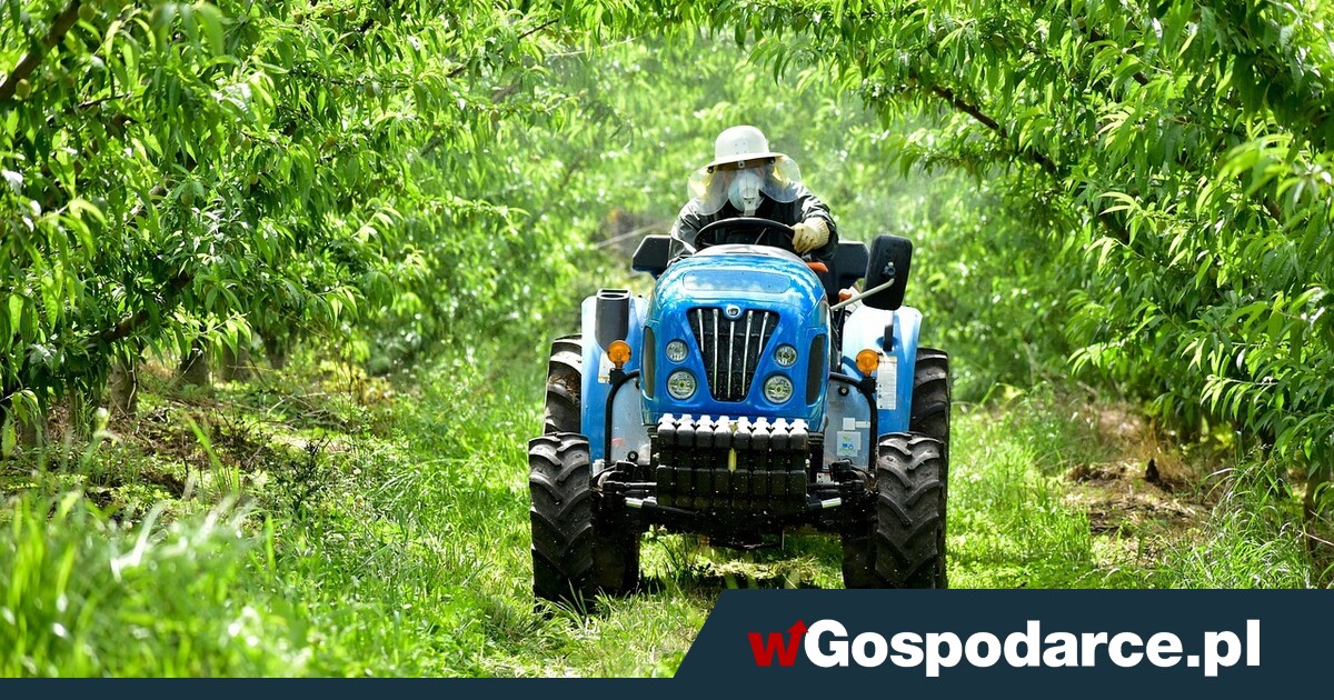 Pestycydy w Brazylii można jeść łyżkami