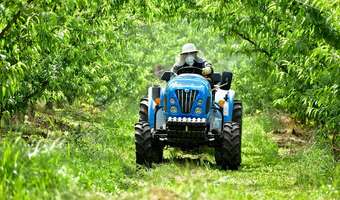 Pestycydy w Brazylii można jeść łyżkami