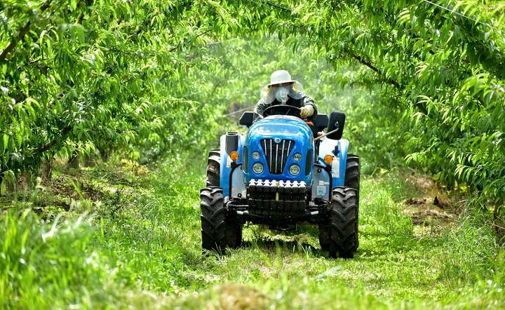 Pestycydy w Brazylii można jeść łyżkami
