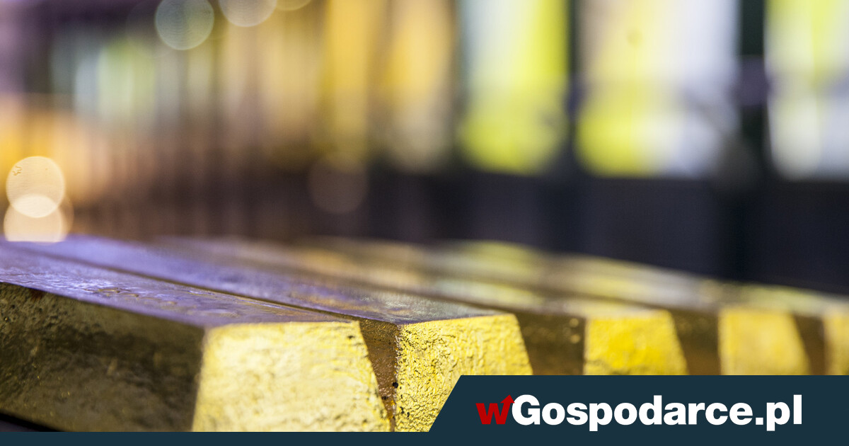 Złoto Glapińskiego. Już niemal 497 ton!