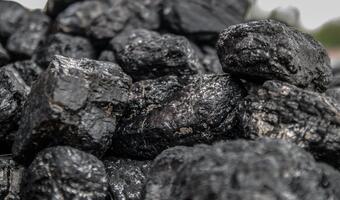 Rząd o dopłatach do węgla. Trwa walka z cenami