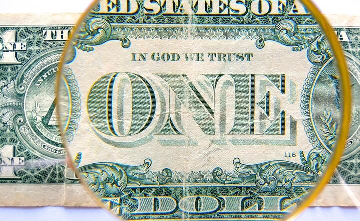 Powrót do jednostajnej słabości dolara nie jest wszystkim na rękę. Żaden kraj nie chce ponosić kosztu umacniania się własnej waluty / autor: Pixabay