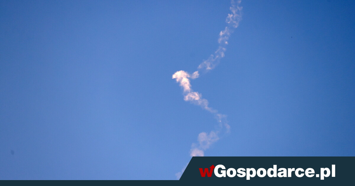 Kangurom rosną stopy