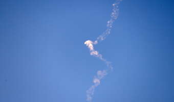 Kangurom rosną stopy