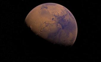 Spektakularne odkrycie na Marsie! Wskazuje na ślady życia?