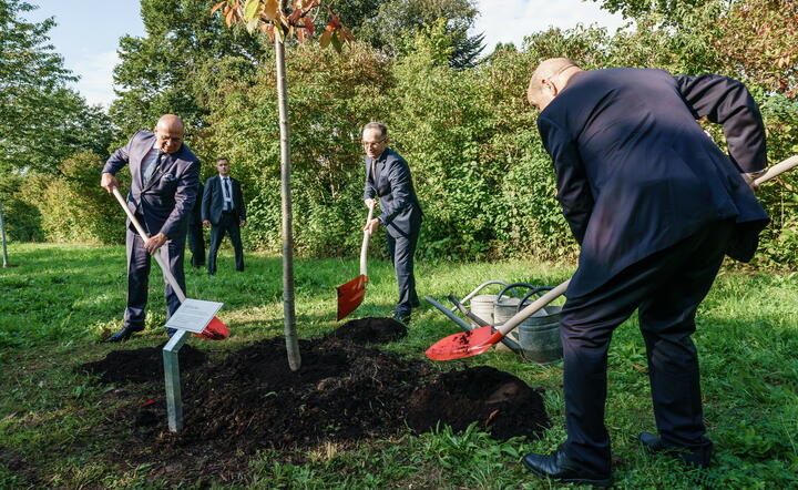 ministrowie spraw zagranicznych Zbigniew Rau, Heiko Maas (Niemcy) i Jean-Yves Le Drian (Francja) / autor: fotoserwis PAP