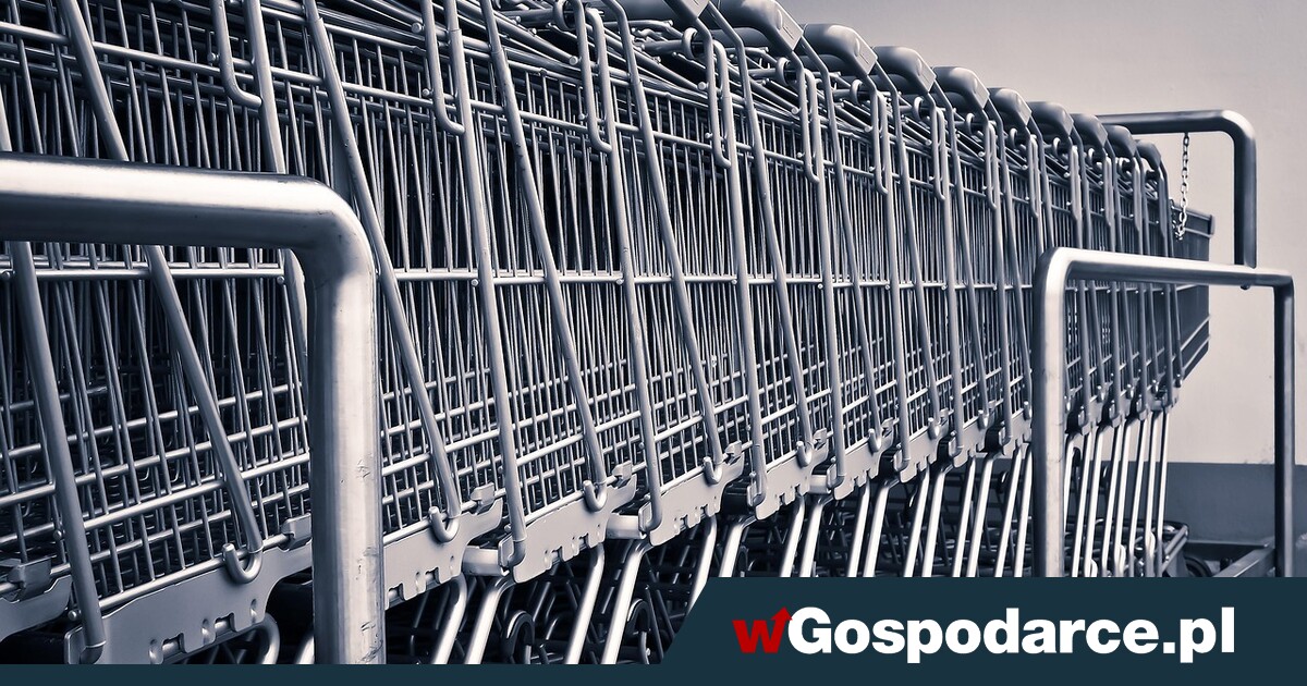 Ku ekologii i oszczędności - jakie wybory zakupowe Polaków napędzają gospodarkę wiosną?