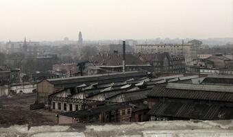 Polacy uciekają! Za kilka lat może być nas nawet o 5 milionów mniej