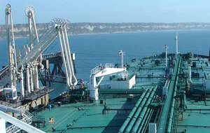 Zdjęcie ilustracyjne / autor: Hervé Cozanet, CC BY-SA 3.0 <http://creativecommons.org/licenses/by-sa/3.0/>, via Wikimedia Commons