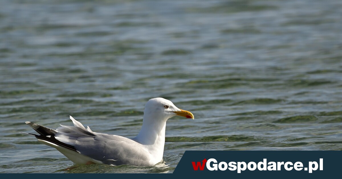 W tych hotelach na Wielkanoc obłożenie sięga 100 proc.!