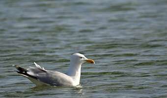 W tych hotelach na Wielkanoc obłożenie sięga 100 proc.!