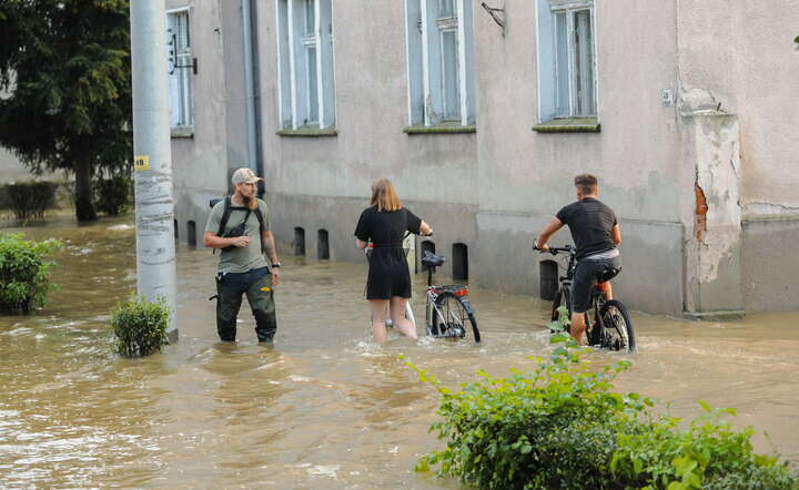 Dynamiczna sytuacja powodziowa. Sytuacja po powodzi w Lewinie Brzeskim w woj. opolskim / autor: PAP/Michał Meissner