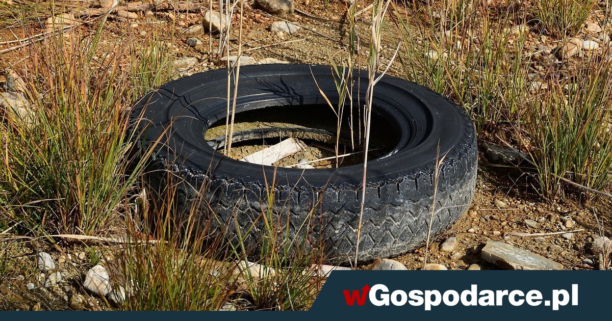 Tysiące ton szpeci lasy. Przez lukę w przepisach