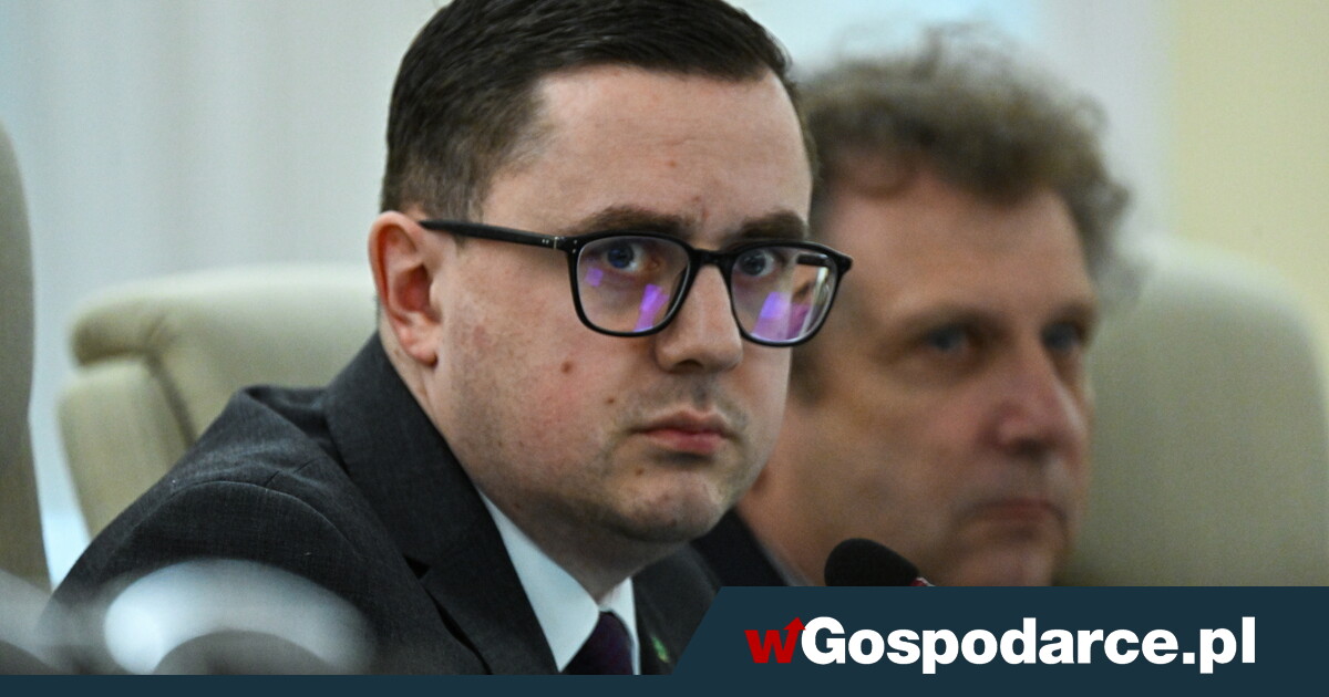 Ceny gazu. Motyka zapowiada najgorsze: "Nawet trzy lata"