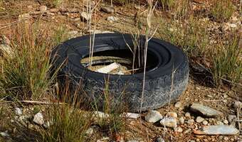 Tysiące ton szpeci lasy. Przez lukę w przepisach