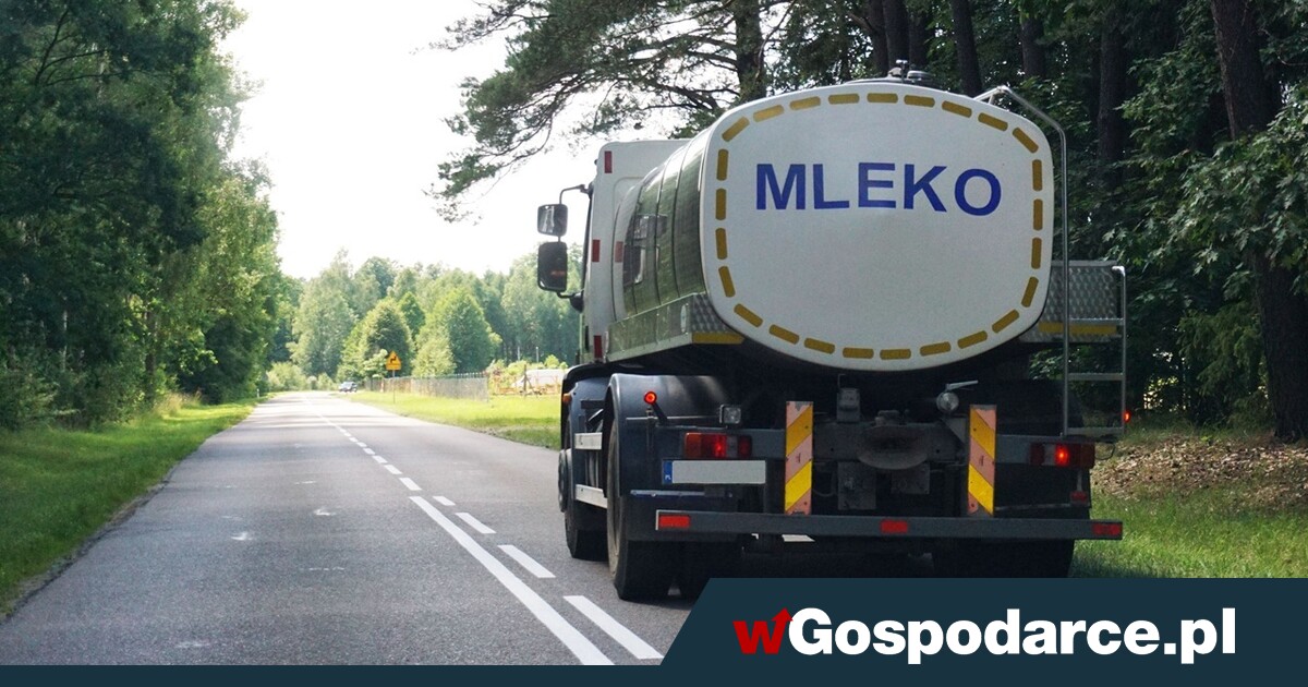 Mleczarnie mają dość dyktatu sieci handlowych!