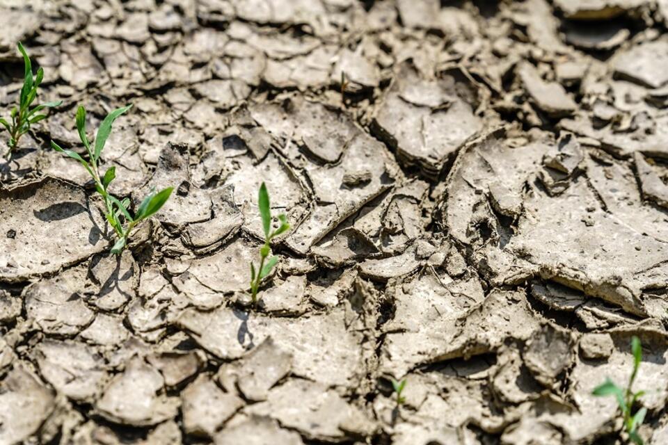 autor: Andrzej Skwarczynski/FRATRIA