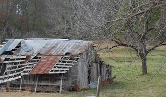 Zanim zaczniemy eksmitować za niespłacane kredyty hipoteczne musimy mieć prawdziwą upadłość konsumencką