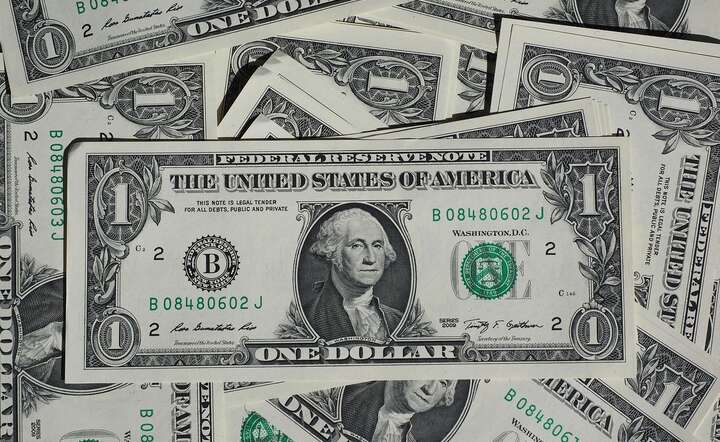 W piątek na rynku forex obserwujemy ofensywę amerykańskiego dolara / autor: Pixabay