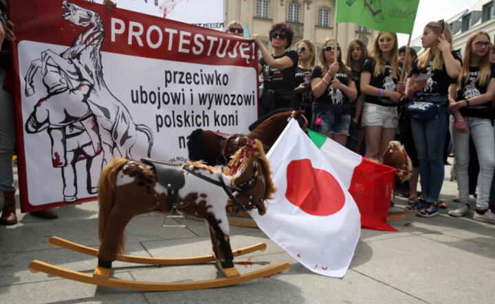 Manifestacja przeciwko wywozowi polskich koni na rzeź do Japonii, na Placu Zamkowym w Warszawie, fot. PAP/Tomasz Gzell (3)
