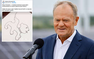 Premier Donald Tusk  / autor: PAP/Tomasz Wojtasik/X