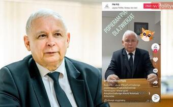 Kaczyński na Tik Toku! Prezes PiS zainicjował akcję #StopFurChallenge