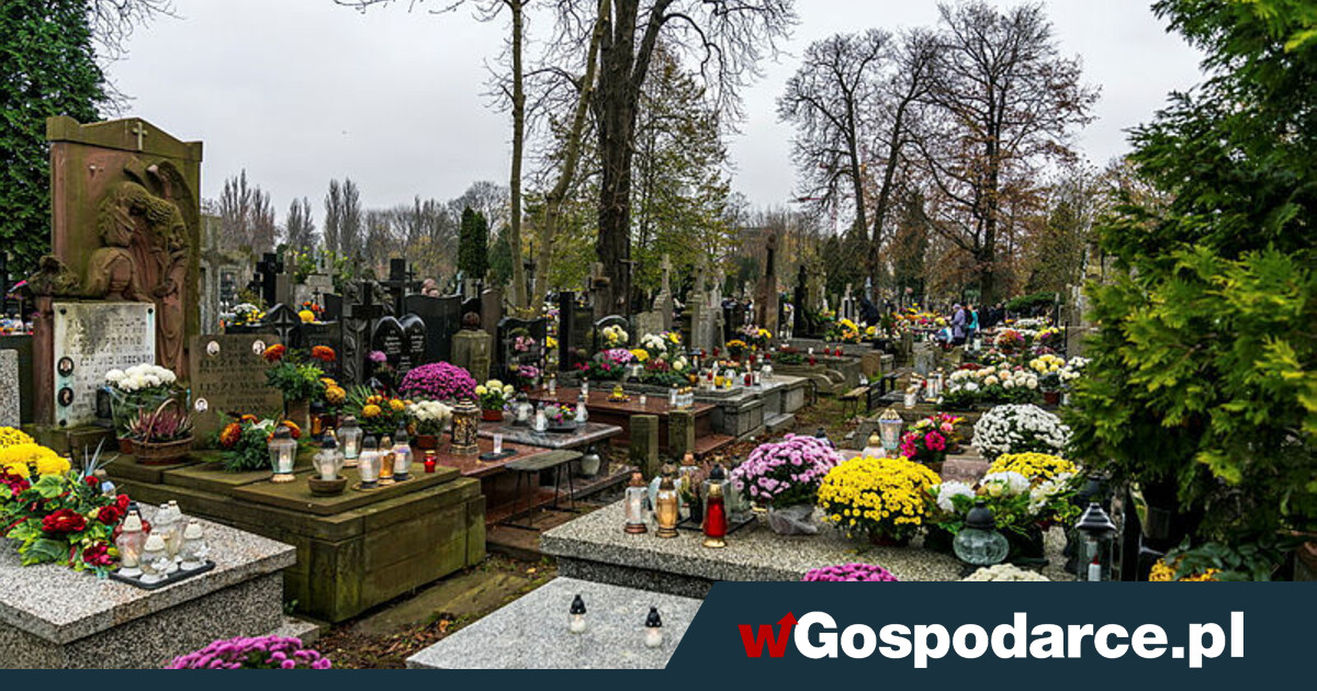 Biznes: usługa porządkowania grobu kosztuje od 90 do 300 zł