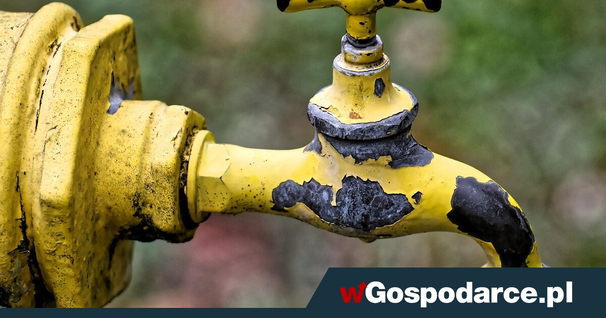 Zwrot na rynku gazu. Już niedługo się to wydarzy