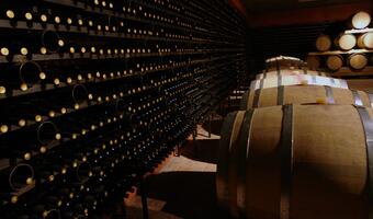 Najstarsze wino świata sprzedane