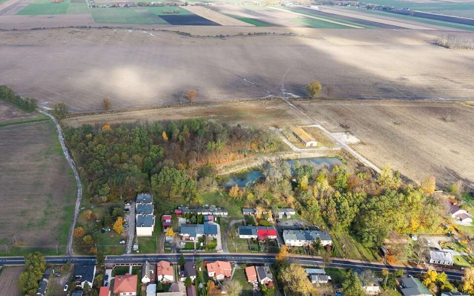 Tubki Dawtony. Firma wyjaśnia, skąd tak niska cena