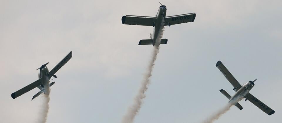 Air Show 17 / autor: PAP/Jacek Turczyk