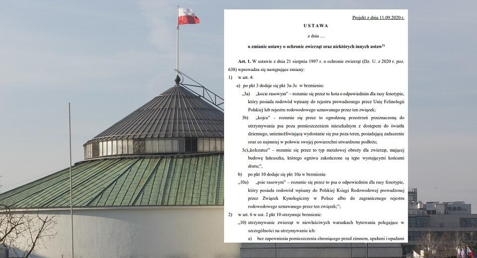 Sejm (zdj. ilustracyjne); projekt nowelizacji ustawy o ochronie zwierząt / autor: Fratria/sejm.gov.pl