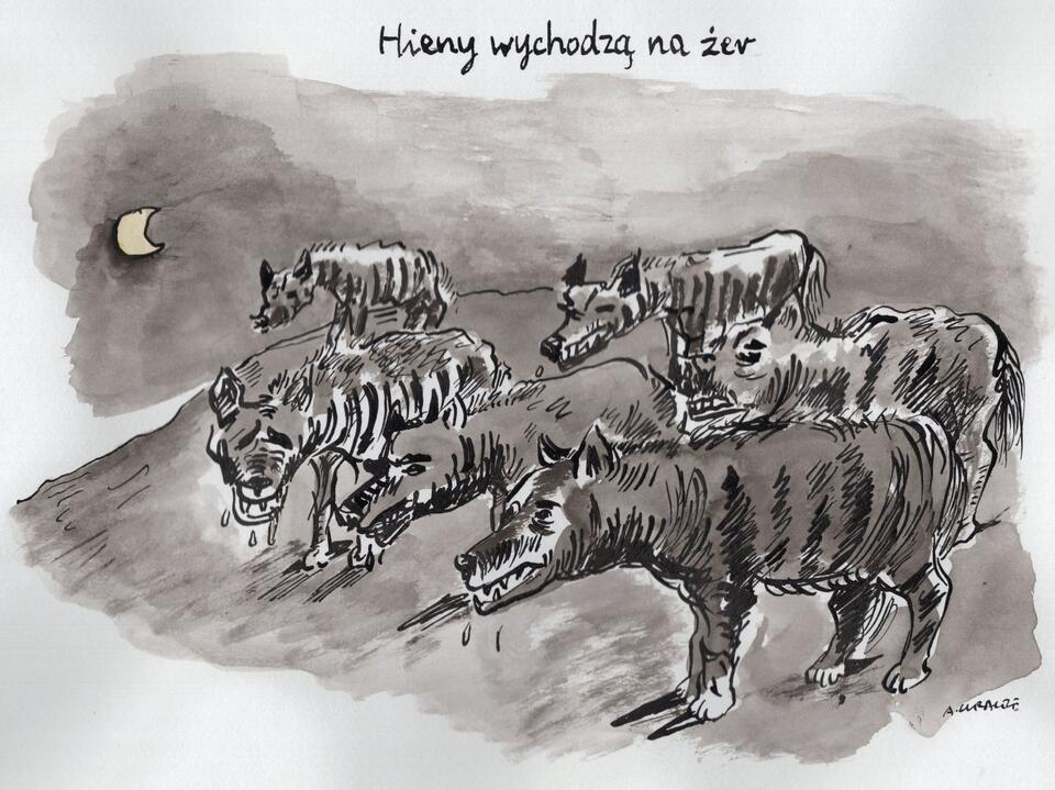 autor: Rys. Andrzej Krauze