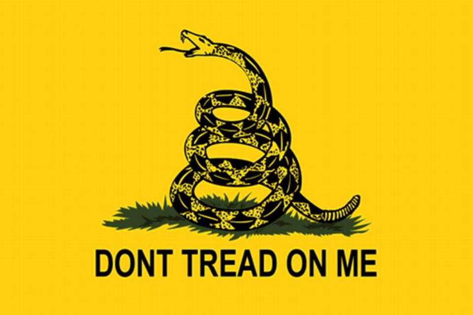 Nieoficjalnym symbolem  ruchu jest  żółta flaga z grzechotnikiem i napisem "Don't tread on me" (Nie stąpaj po mnie!)