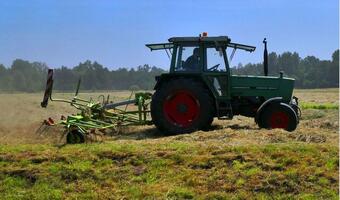 Ardanowski: rolnicy dostaną pomoc w związku z suszą